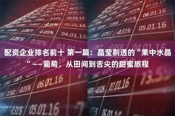 配资企业排名前十 第一篇：晶莹剔透的“果中水晶”——葡萄，从田间到舌尖的甜蜜旅程