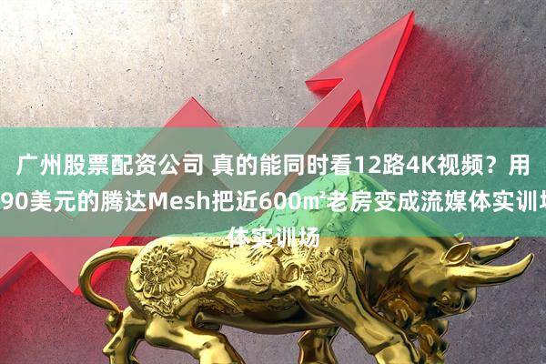 广州股票配资公司 真的能同时看12路4K视频?用190美元的腾达Mesh把近600㎡老房变成流媒体实训场