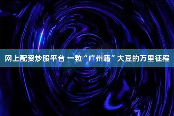 网上配资炒股平台 一粒“广州籍”大豆的万里征程